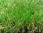 דשא סינטטי ירוק לתמיד - המלצות וטיפים | צרכנות נבונה