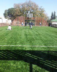 דשא עוז ספורט