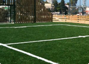 דשא עוז ספורט