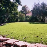 דשא סינטטי לגינה – למראה ירוק כל השנה