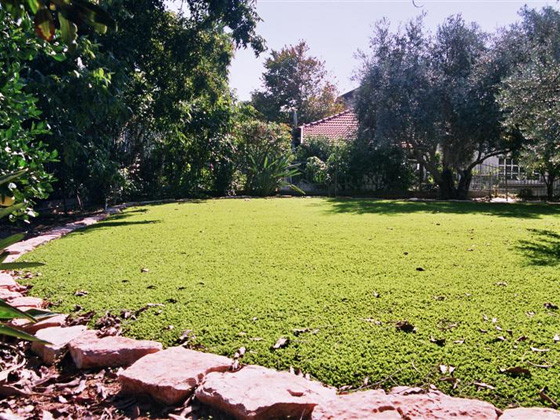 דשא סינטטי לגינה, התמונה באדיבות חברת דשא עוז