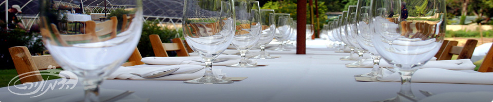 השכרת ציוד לאירועים - המלצות וטיפים | צרכנות נבונה